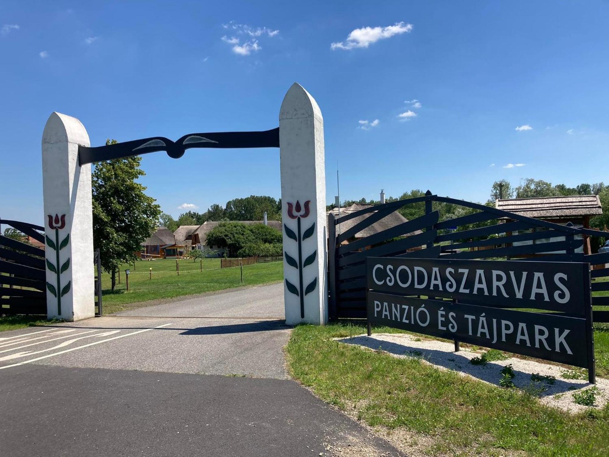 Csodaszarvas Vendeghazak Rabahidveg 외부 사진